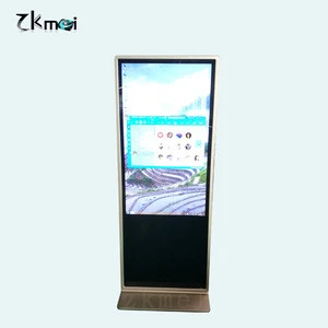 43 inch gold all in one pc super slim all in one computer LED all in one kiosk with Wifi/LAN/3G/4G/camera