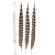 Import 50-55 Gold Seller Best Selling Cheap Large Natural Reeves Pheasant Tail Feathers from China