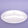 9"3c Eco-Friendly Sugarcane Biodegradable Compostable Disposable Round Plates for P012