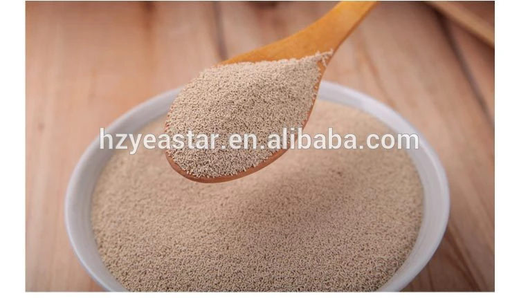 Active low sugar instant dry yeast for bread price wholesale production line manufacturers