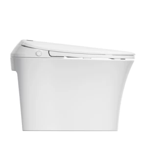 America standard CUPC high-tech intelligent toilet wc bidet toilet automatic intelligent smart toilet