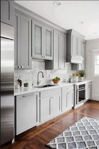 American shaker style kitchen cabinet with DTC accessory