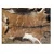 Import Animal Dry and Wet Salted Donkey/Goat Skin /Wet Salted Cow Hides Etc from Netherlands