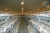 Import Automatic cheap poultry farm drinker in kerala country for sale drinker for birds chick drinker from China