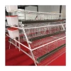 Automatic  Chicken cage layer  for sale  Egg Layer Chicken Farm Laying Hens