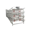 automatic quail chicken layer cage sale in philippines