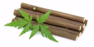 Azadirachta indica Organic Care Neem Toothbrush Chew Sticks Natural Wild Herbs