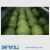 Import BEST BUY! FRESH POMELO at THE HIGH QUALITY and BEST PRICE from Vietnam