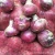Import Best Price Chinese Export New Crop Fresh Purple Red Onion for Sale from China