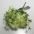 Import Best selling artificial  plants chlorophytum plastic green leaves grass flower decoration from China