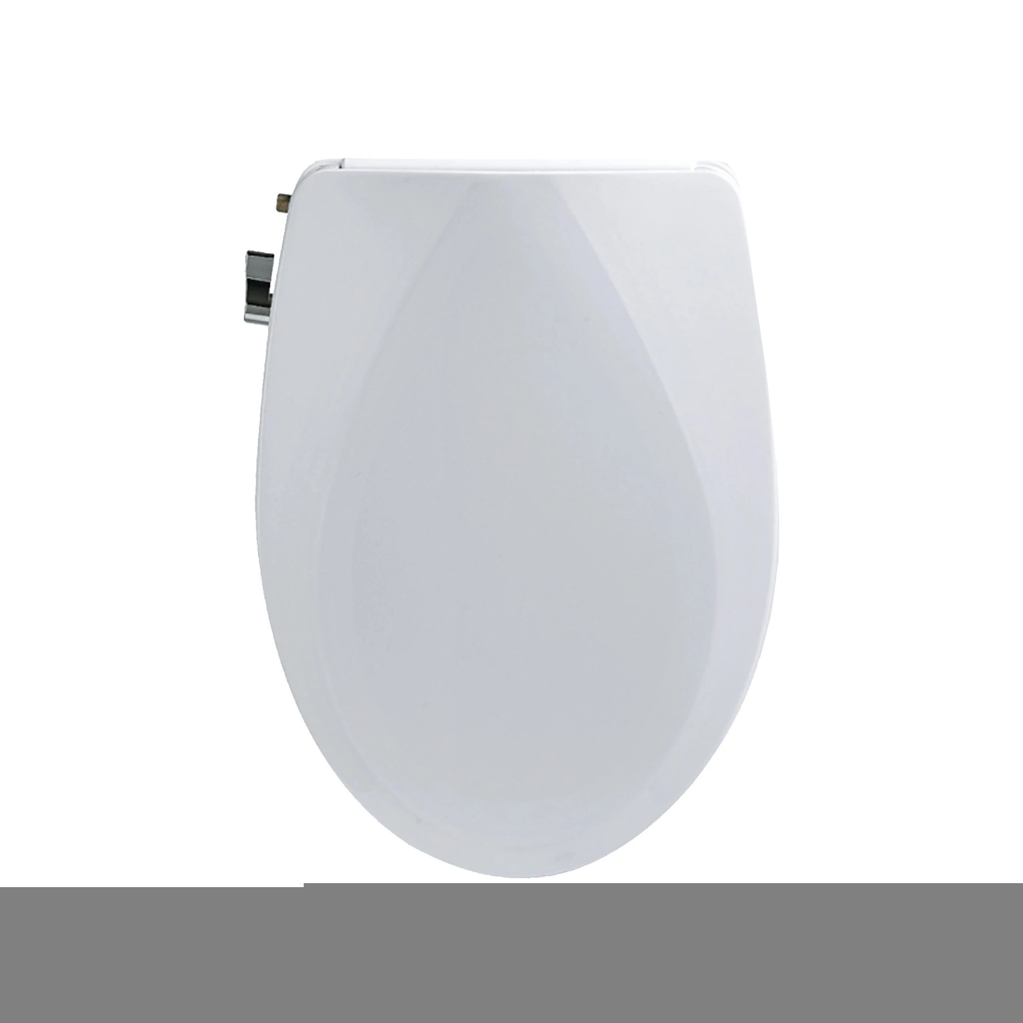 Bidet Toilet Seat with Built-in Bidet Water Spray nozzles  Chinese wc Toilet Bidet Toilet