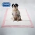 Import Brand new pet pee puppy training pad for wholesale from China