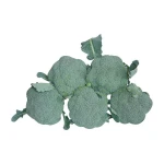 Brazil  Top  Bulk frozen broccoli with reasonable price