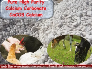 Calcium Carbonate CaCO3 - Animal Nutrition & Health