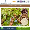 Carbohydrates and Protein Rich Deoiled Tamarind Kernel Powder for Food Industry