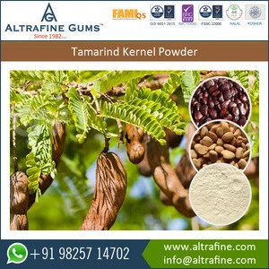 Carbohydrates and Protein Rich Deoiled Tamarind Kernel Powder for Food Industry