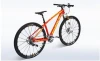 Carbon mountain bike/mountain bicycle