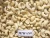 Import Cashew kernels W320 - 22.68 Kg/vaccum bag/carton, MOQ 1x20FCL from Vietnam