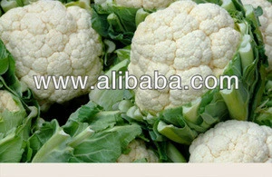Cauliflower Fresh Vegetables