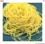 Import Cheap elastic colored assorted Rubber band from China