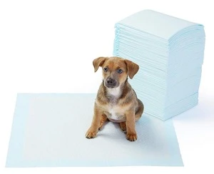 Cheap Pet Puppy Pad Training Biodegradable Dog Pee Pad