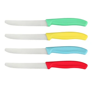 Cheap price assorted color plastic handle 4pcs steak knife set with sharp serrated blade