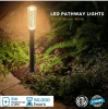 Cheap Price Pathway LED Landscape Light Outdoor DC 12V Waterproof LED Spike Garden Light