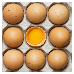 Chicken eggs from Ukraine - BROWN (price for 360 pieces) yoni Farm chicken eggs