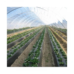 CHINA AGROTIME other greenhouse cold frame green house hydroponic agricultural greenhouse / invernaderos