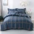 Import China Comforter Designers 100% Cotton Duvert Cover Bed Sheet Bedding Sets from China