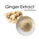China Factory Supply Best Sell GMO Free high quality ginger extract 6-gingerol with free sample