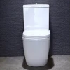 Chinese manufacturer promotion two piece dual flush ceramic toilet bowl