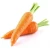 Chinese New Crop Fresh Carrots Export to Kuwait