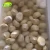 Import Chinese Origin Frozen Organic Chestnut from China
