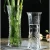 Import Clear Crystalline Daum Crystal Vase from China