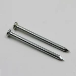 Common Galvanized Iron Polished Nail