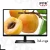 Import Computer Use Wide Flat Screen 15 17 19 inch Tv PC monitor from China