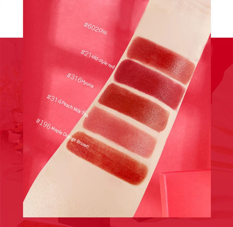 Cosmetic matte lipstick private label OEM custom create lipstick organic lakme lipstick with 5 multi color