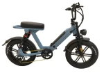 CS20-K14 48V 10.4Ah 500W Rear Hub Motor Retro Fat Tire Electric Bike Electric City Bike Bicycle Mountain Ebike Road EBike