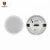 Import CTRLPA CA2862B Portable 8 ohm 20W  Active Wireless Bluetooth Ceiling Speakers from China
