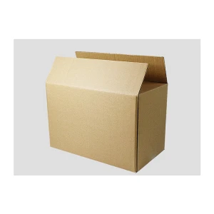 Custom Colored Cardboard Carton Packaging Corrugated Box