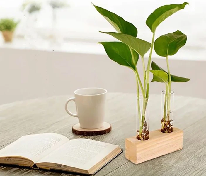 Custom Office Home Decoration Wood Plant Stand With Test Tube