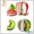 Import Customized Fruit Momo Pad 3D Sticky Notes Writing Paper Pear Shape Sticky Notes from China