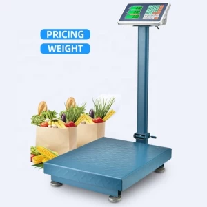Digital Industrial Platform Scale 300 Kg Weighing Scale electronic weigh scale platform