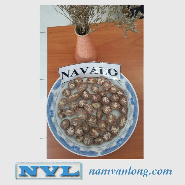 Dried Betel Nuts With High Quality And Competitive Price.