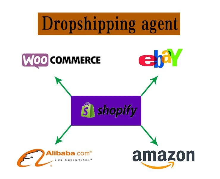 Dropshipping shopify service Aliexpress Facebook shopify agent partner drop shipping for beauty products