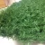 Import Easily Assembled Artificial Grass/Ornamental Plants for Fence from China