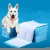 Import Eco Friendly Comfortable Dog Training Pee Pad from China
