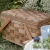 Import Eco-Friendly Fir sheet wood Picnic wicker Fruit vegetable bread wedding basket with lid Picnic storage Basket from China