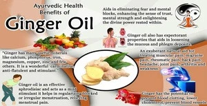 Edible ginger essential oil extraction